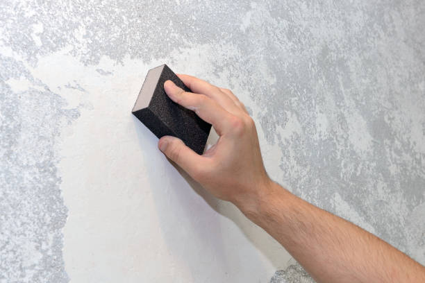 Hasbrouck Heights, NJ Mold Removal Company
