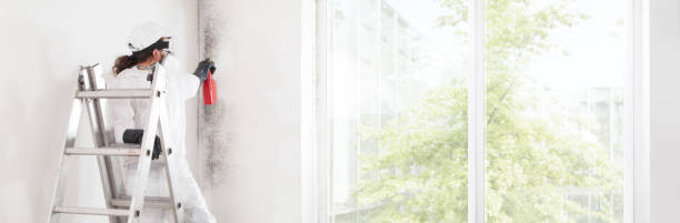 Best Biohazard Mold Removal  in Hasbrouck Heights, NJ